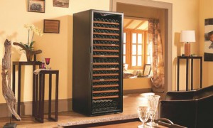 EuroCave Wine Cabinet Premiere Series V266