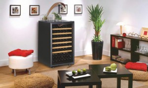 EuroCave Wine Cabinet Premiére Range V101 Home Wine Storage Small