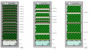 D283 Shelving Configuration - 2 Temperatures
