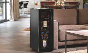 EuroCave Wine Cabinet Tete a Tete 10 Store + 2 Serve Bottles